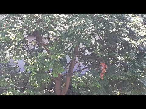 Dj Matrix..No..La Giuli