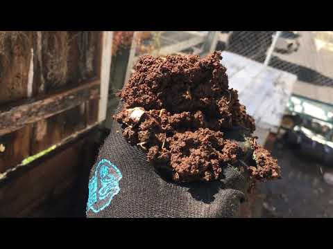How To Easily Make Compost With Worms //  DIY Red Wiggler Worm Bins