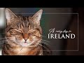 Living In Ireland Rural Slow Living Enniskillen Castle Irish Castle Cosy Rainy Day