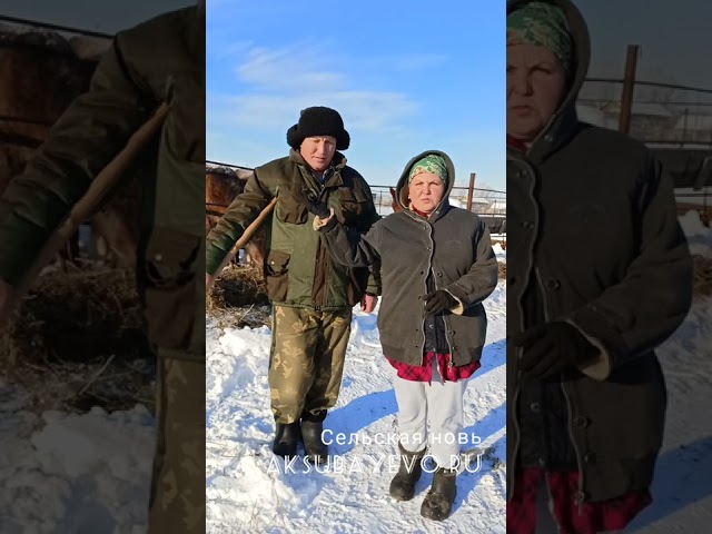 Яшь гаилә яңа ферма төзү хыялы белән яши