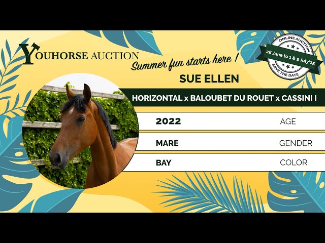 Sue Ellen