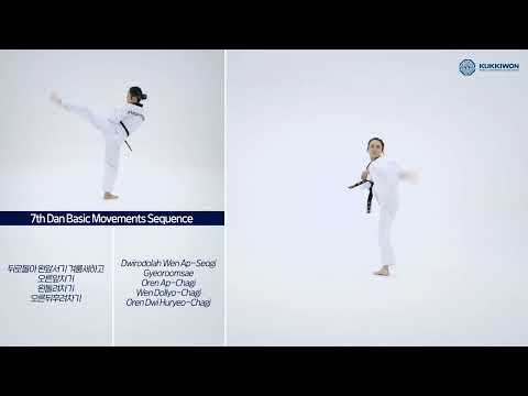 7th Dan Basic Movements Sequence 1