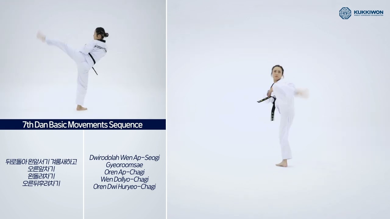 7th Dan Basic Movements Sequence 1