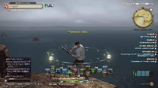 RPG嫌いがまったりやります　#FF14  #AAC　#PS5