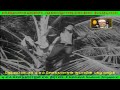 Naan Thenna Marathula Kudiyirupathu Chinna Papa Kankandadeivam Movie Song