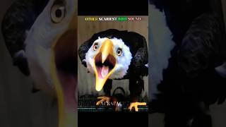 Download lagu Suara Burung Menakutkan Lainnya vs Suara Burung Terakhir yang Menakjubkan 🤯 | #shorts #birds #birdsounds #trollface mp3