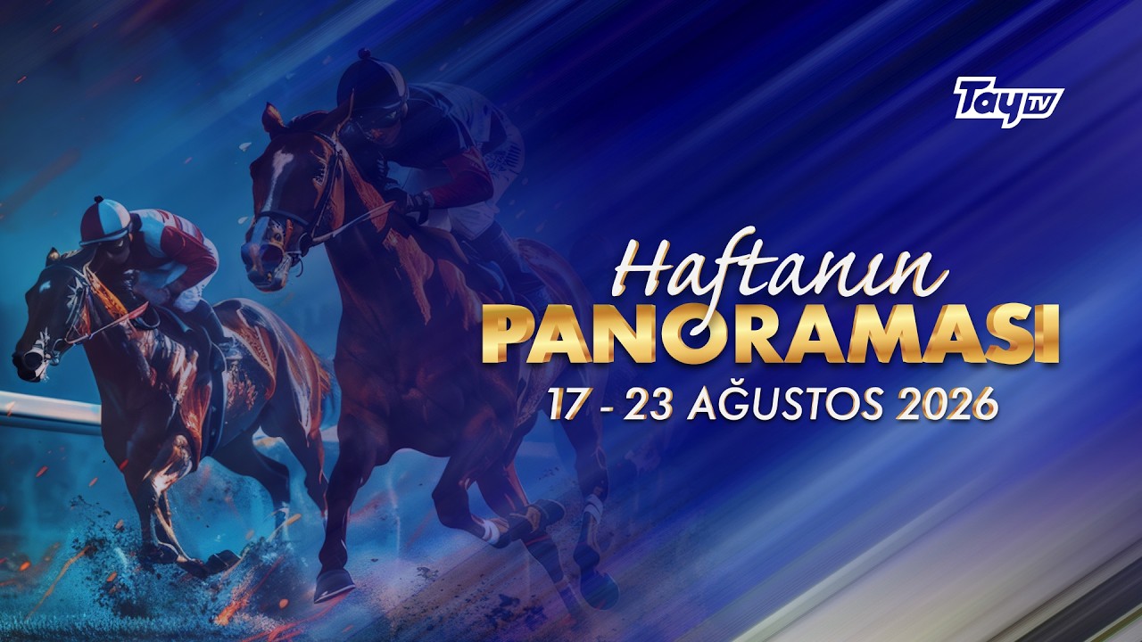 Haftanın Panoraması | 17- 23 Ağustos 2026