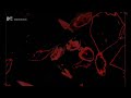 DK7 – The Difference