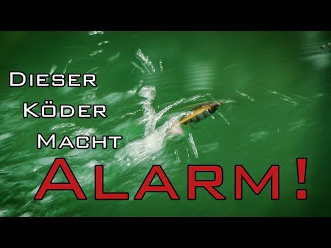 Diesen Köder bemerkt jeder FISCH! - Berkley Choppo