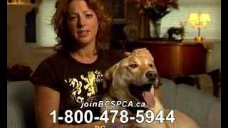 Sarah McLachlan Animal Cruelty Video