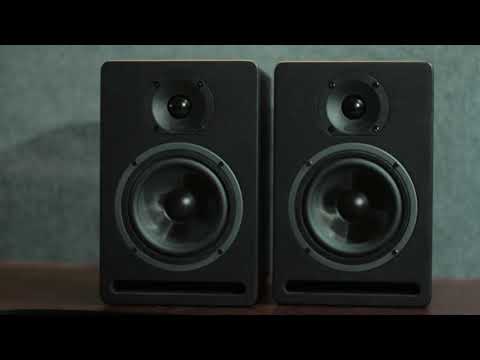 Пара студійних моніторів Prodipe Pro 5 V3