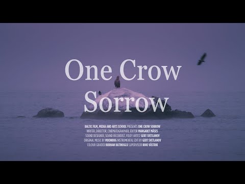 Varesele valu / One Crow Sorrow (trailer)