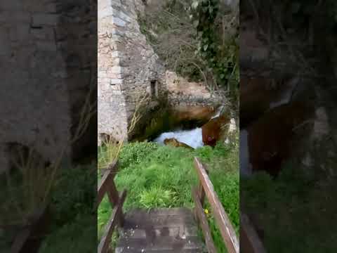THE GOOD ITALIAN NATURE IN RASIGLIA - YOU SHOULD WATCH IT TILL THE END