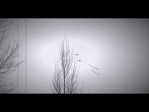 NANI LATU & MAZONY - GEDACHTES (prod. by NUSALOUD)