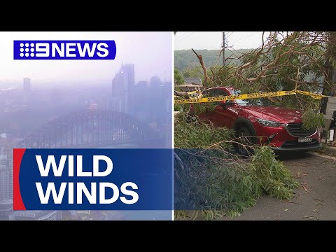 Wild winds in Sydney after scorching temperatures | 9 News Australia