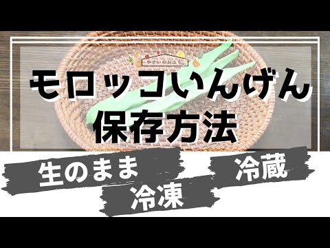 ランナーインゲン豆の冷凍: 収穫物を保存する方法 植物