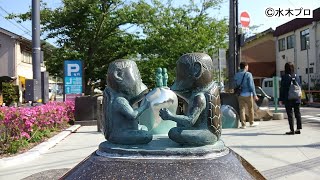 動画2