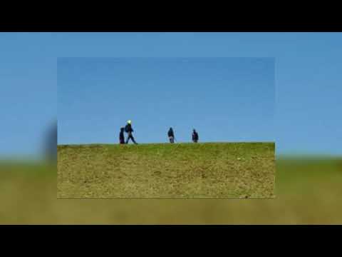 Things to do - alex g / first + best part of the song