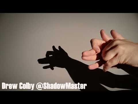 Jackal Hand Shadow Tutorial