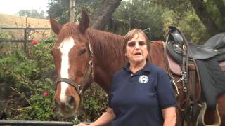 preview picture of video 'Horseback Riding, Saratoga, California'