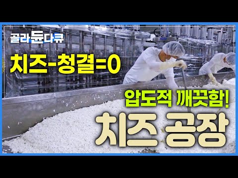 치즈에서 청결을 빼면 아무것도 없습니다┃하루 1ℓ 우유 8만 개! 몽글몽글한 알갱이가 치즈가 되기까지!┃압도적으로 청결한 '치즈 대량 생산 공장' ┃#골라듄다큐