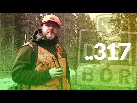 Darz Bór zapowiedź odcinka 317