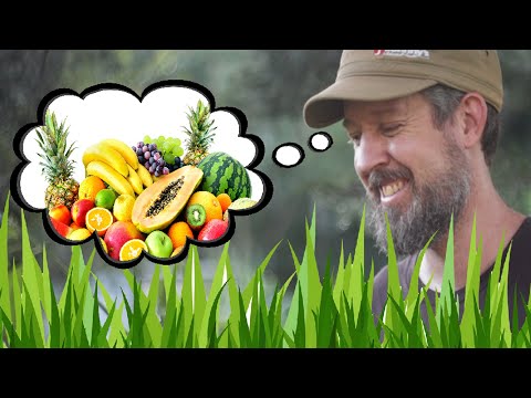 3 Easy Ways to Turn Grass Clippings Into Compost