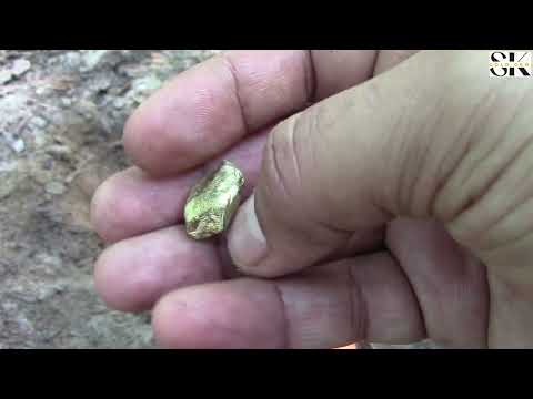 i found many things gold hunting with metal detector Gold nuggets found in jungle gold gem sk