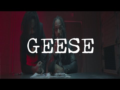 Geese ft. Avi Twat