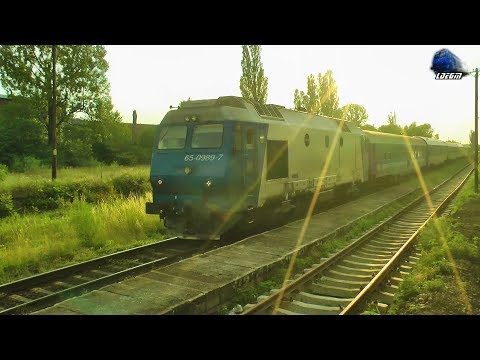 Horns Show By Piranda~Jimmy 65-0989-7 in Gara Vadu Crisului Station - 21 June 2017