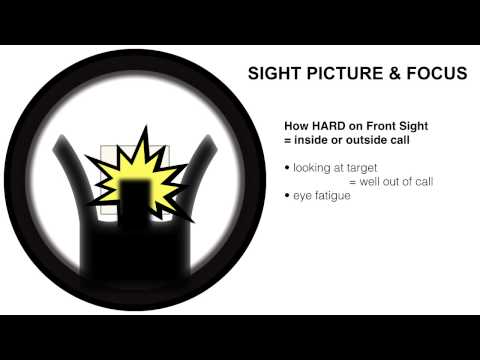 Service Rifle - Sight Alignment, Sight Picture & Focus