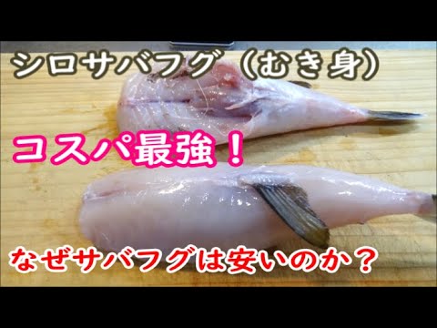 なぜサバフグは安いのか？調理から食べ方まで＃サバフグのレシピ＃サバフグ鍋＃シロサバフグ