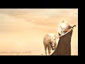 Zainab E Hazeen E Maan Cover WhatsApp Status 2020