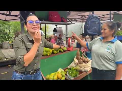 🔴 EN VIVO: Mercado campesino Guamal - Meta