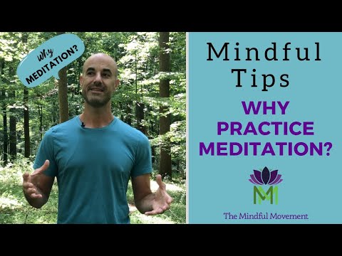 Why Some People Always Make Time for Meditation? / Living Mindfully / Mindful Movement