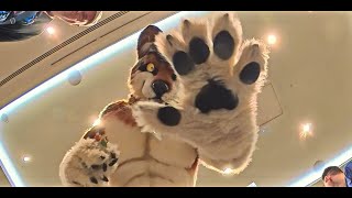 8K 360° VR | Macro Giants (Furry) at Eurofurence 2025 – Part One