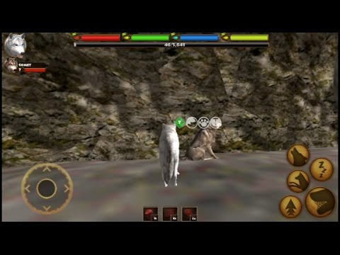 How to find a mate in Ultimate Wolf Simulator By Gluten Free Games - YouTube