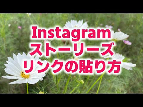 Instagram ストーリー: 認証なしでもリンクを挿入