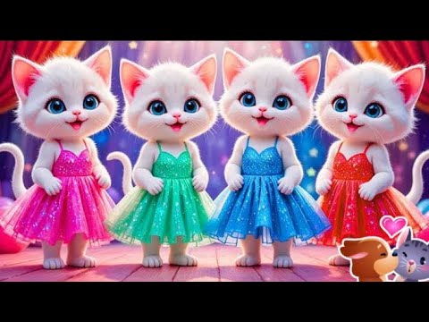 Cutest Cat videos funny dance🤣💃Videos for cats By Meowwbili#cat ‪ ‎#FunnyCatVideos #CatDancingVideos