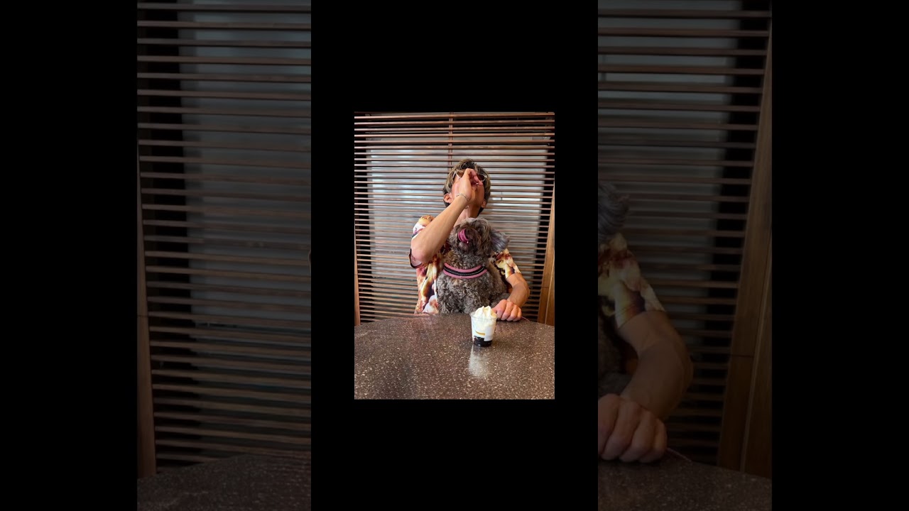 木村拓哉 工藤静香 Cocomi Kōki @takuya_kimura_takuya @kudo_shizuka @koki @cocomi_553_official