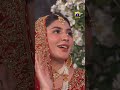 Koi Dekhe Na Dekhe Izhar Toh Dekhega Teremeresapnay Shorts