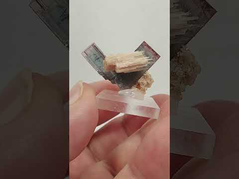 Tourmaline var. Elbaite, Pederneira Mine, São José da Safira, Minas Gerais, Brazil