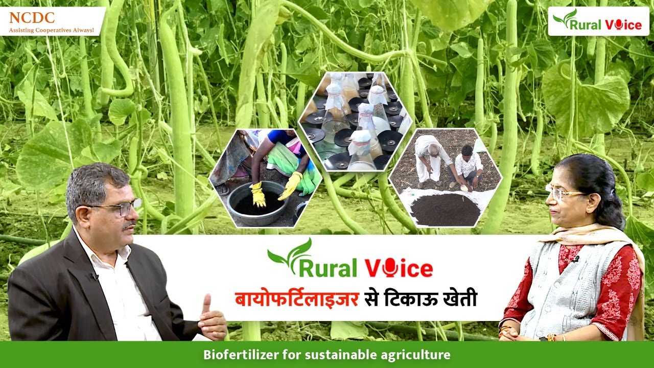रूरल वॉयस विशेषः बायो फर्टिलाइजर से कम होगी खेती की लागत, मिट्टी भी अधिक उपजाऊ होगी