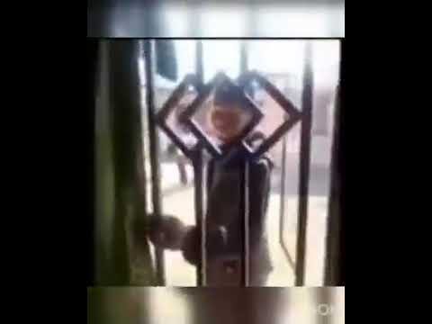 Ivanka Bianca reported to the police by her neighbors for unruly behavior in the neighborhood