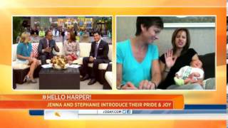 meet janna wolfe and stephanie gosk's baby harper