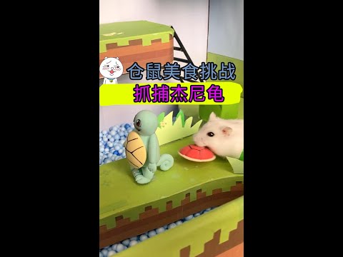 倉鼠