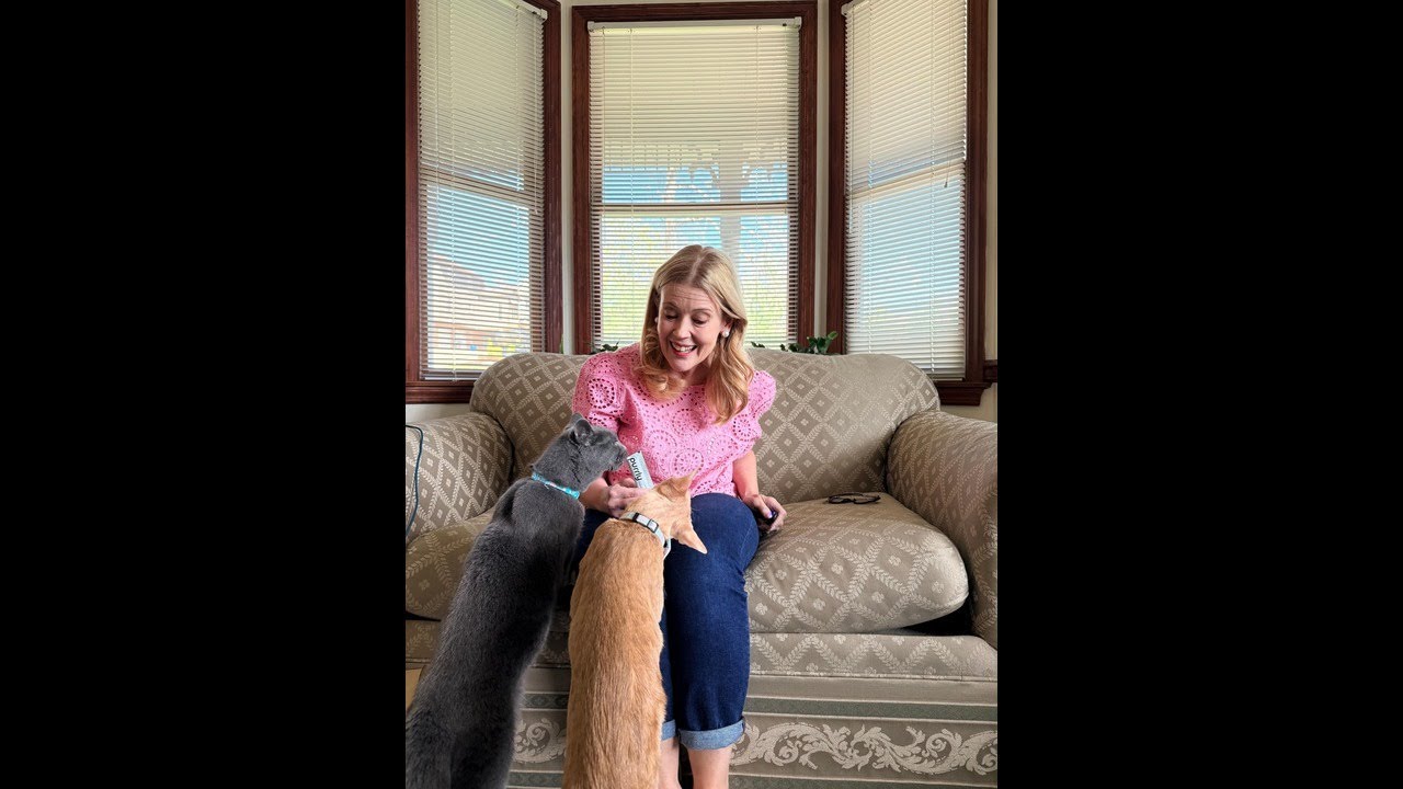 Purrly Cat Treat Snack Wet Lickable Low Calorie Healthy Grain-Free Tuna Variety Packs (18 Count) Squ