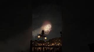 Tokyo disney sea night#fireworks #tokyo #japantravel #25anniversary