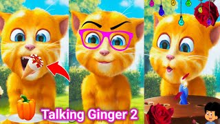 My Talking Ginger 2 BIRTHDAY 🎂 |  talking ginger | ginger cat | ginger 2 |