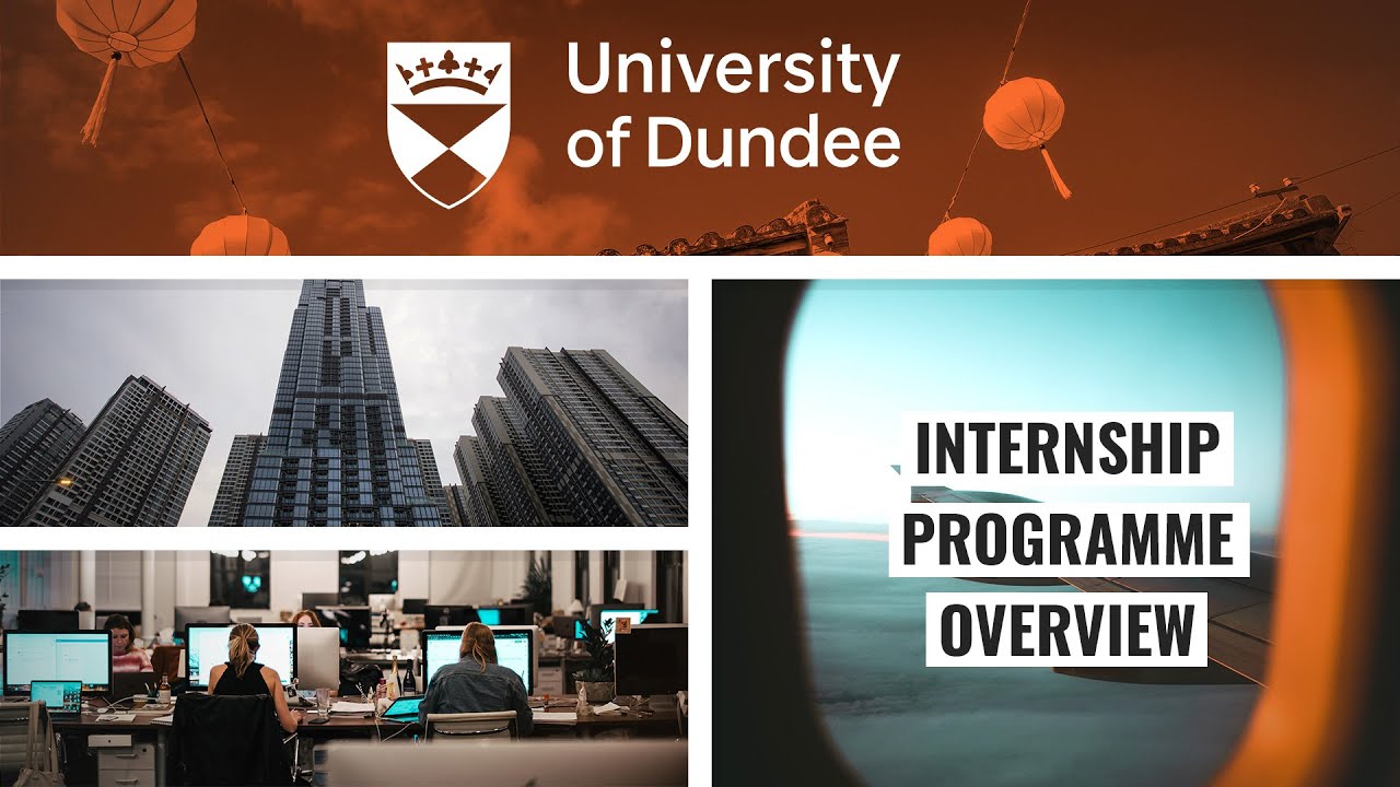 Uni of Dundee Internship Programme